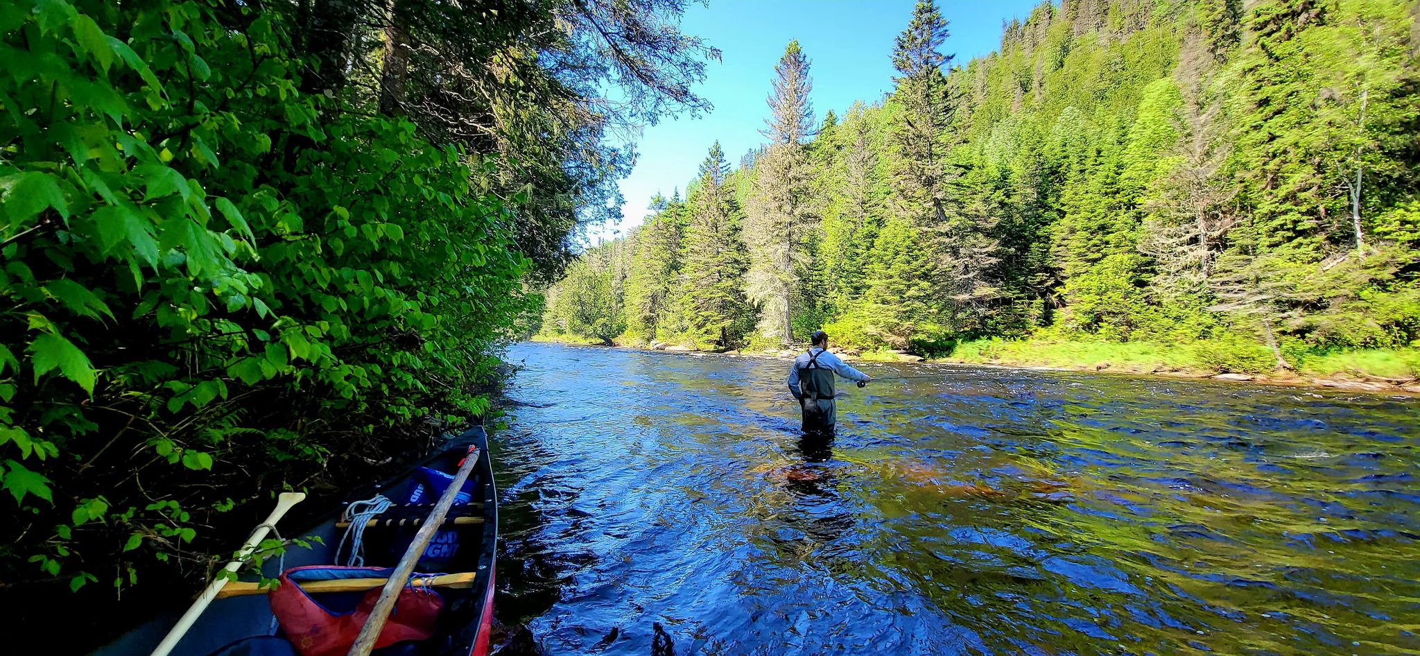 rivière Causapscal - secteur 1