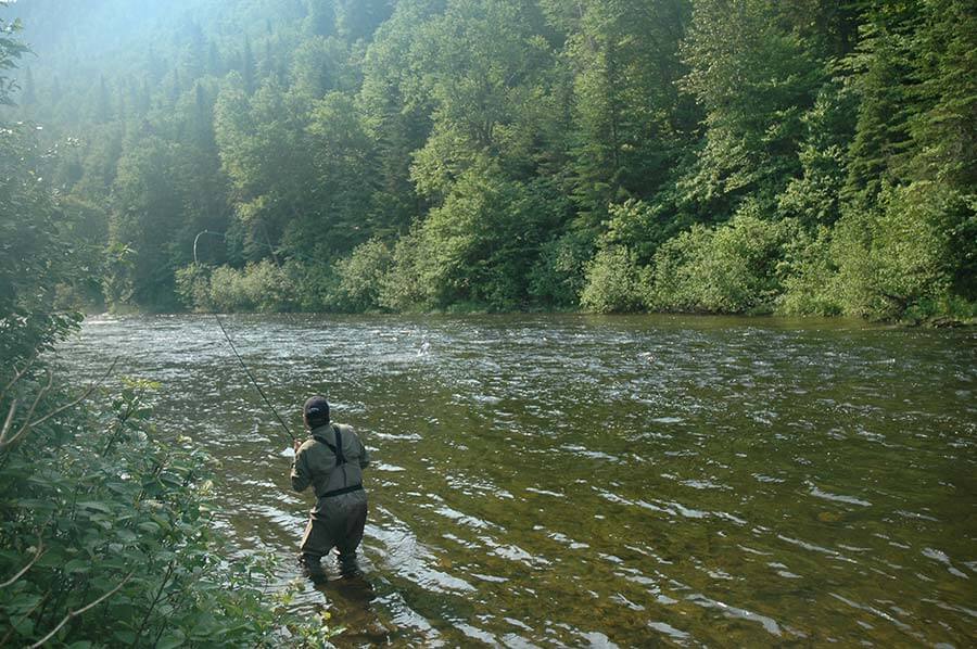 Patapedia River - Sector 1 Patapedia River - Sector 1