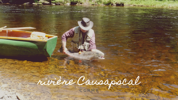QUESTION / ANSWER: CAUSAPSCAL RIVER