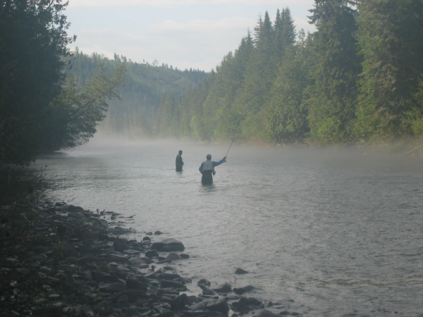 Rivière Causapscal - Secteur 1