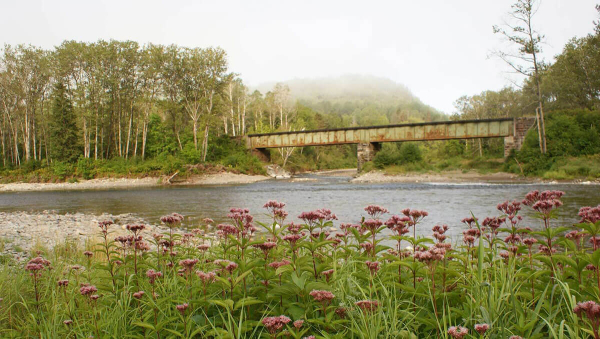 Rivière Matapédia - Secteur Glen Emma